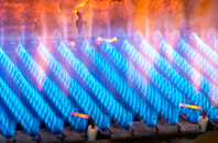 Glantlees gas fired boilers